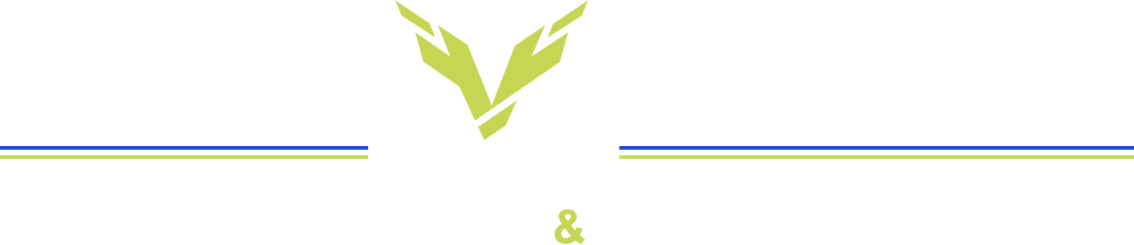 Auto detailing in Orlando, FL · Black V Protect logo